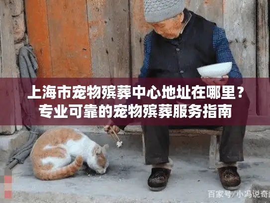 上海市宠物殡葬中心地址在哪里？专业可靠的宠物殡葬服务指南