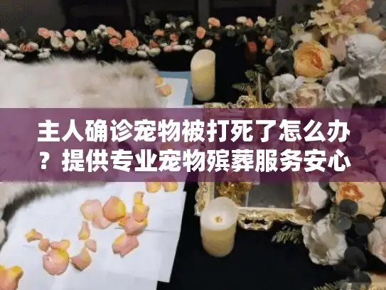 主人确诊宠物被打死了怎么办？提供专业宠物殡葬服务安心解决方案