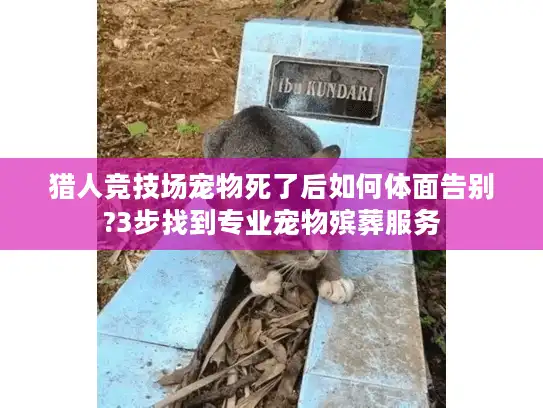 猎人竞技场宠物死了后如何体面告别?3步找到专业宠物殡葬服务