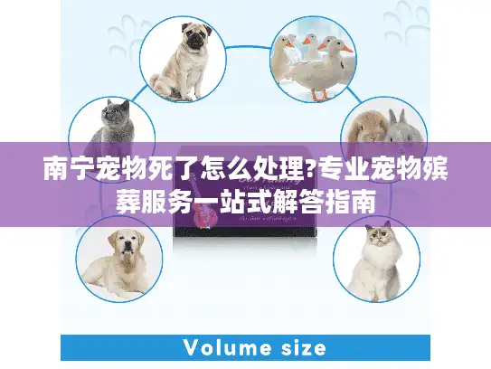 南宁宠物死了怎么处理?专业宠物殡葬服务一站式解答指南