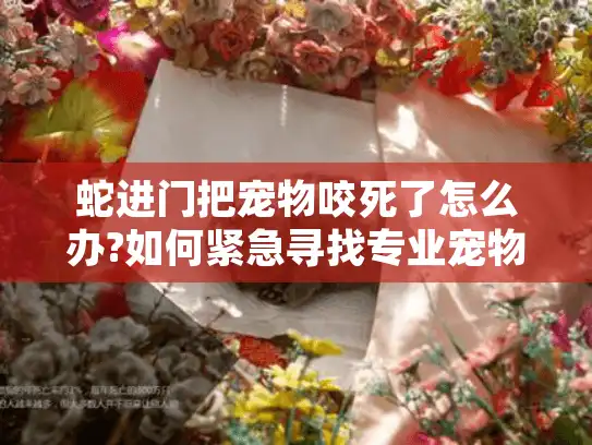 蛇进门把宠物咬死了怎么办?如何紧急寻找专业宠物殡葬服务