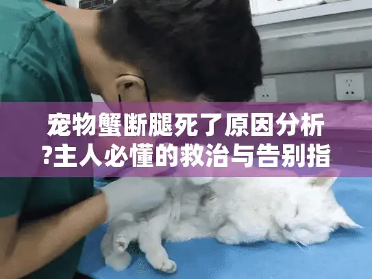 宠物蟹断腿死了原因分析?主人必懂的救治与告别指南