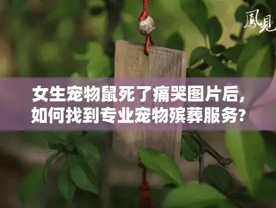 女生宠物鼠死了痛哭图片后,如何找到专业宠物殡葬服务?