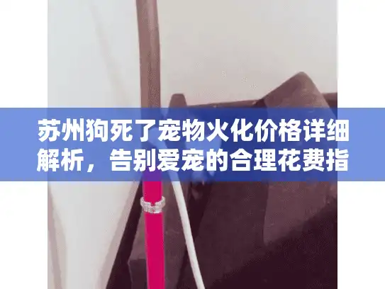 苏州狗死了宠物火化价格详细解析，告别爱宠的合理花费指南
