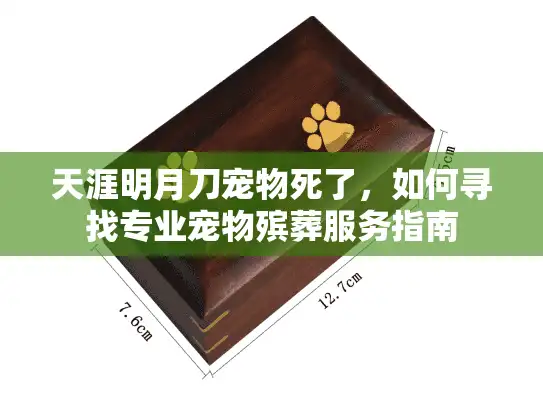 天涯明月刀宠物死了，如何寻找专业宠物殡葬服务指南