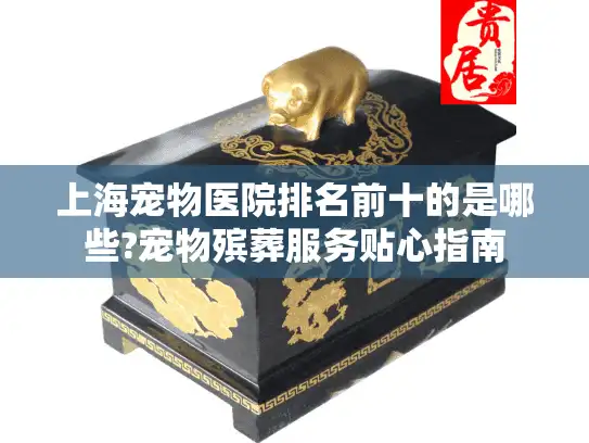上海宠物医院排名前十的是哪些?宠物殡葬服务贴心指南