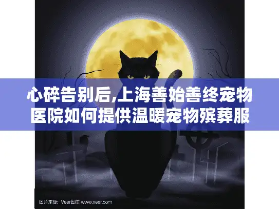 心碎告别后,上海善始善终宠物医院如何提供温暖宠物殡葬服务?