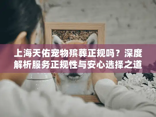 上海天佑宠物殡葬正规吗？深度解析服务正规性与安心选择之道