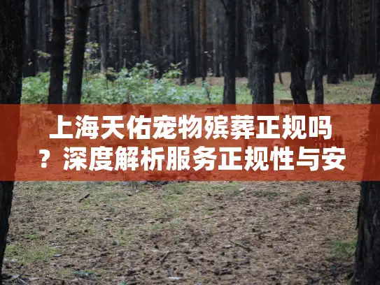 上海天佑宠物殡葬正规吗？深度解析服务正规性与安心选择之道