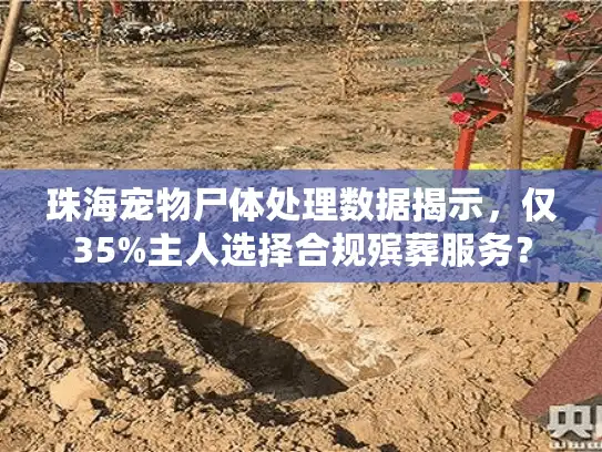 珠海宠物尸体处理数据揭示，仅35%主人选择合规殡葬服务？