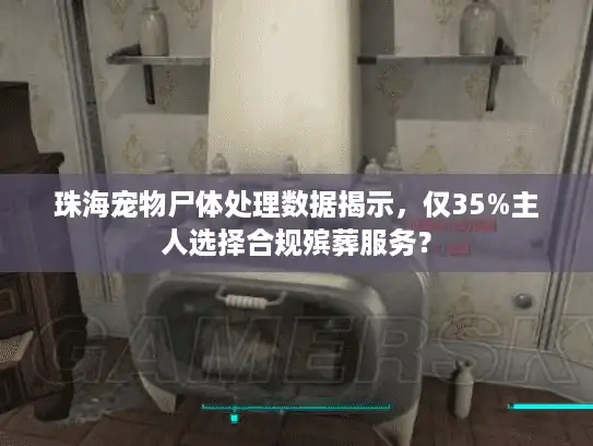 珠海宠物尸体处理数据揭示，仅35%主人选择合规殡葬服务？