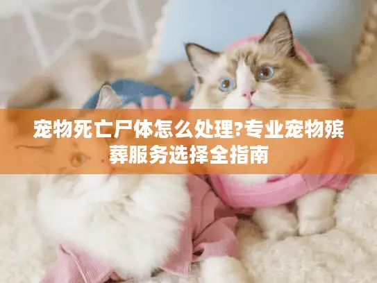 宠物死亡尸体怎么处理?专业宠物殡葬服务选择全指南