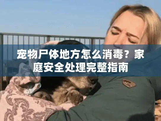 宠物尸体地方怎么消毒？家庭安全处理完整指南