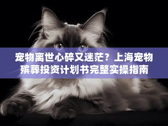 宠物离世心碎又迷茫？上海宠物殡葬投资计划书完整实操指南