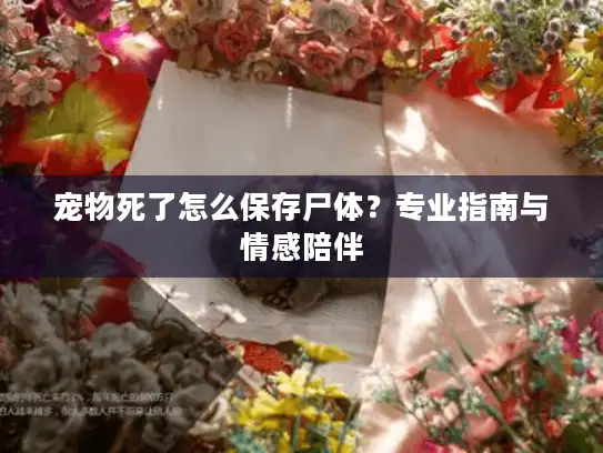 宠物死了怎么保存尸体？专业指南与情感陪伴