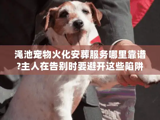 渑池宠物火化安葬服务哪里靠谱?主人在告别时要避开这些陷阱