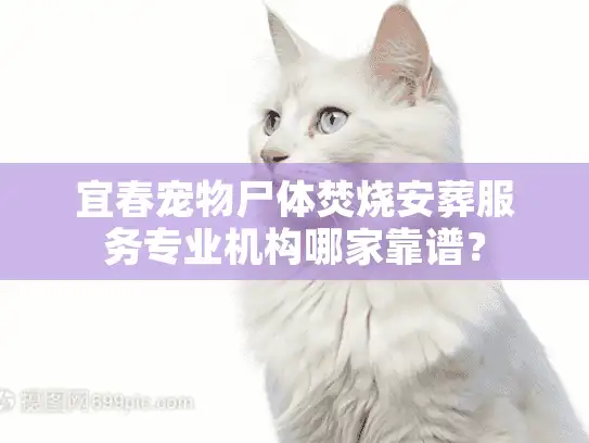 宜春宠物尸体焚烧安葬服务专业机构哪家靠谱？