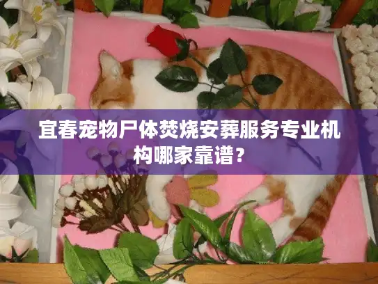 宜春宠物尸体焚烧安葬服务专业机构哪家靠谱？