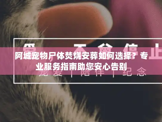 阿城宠物尸体焚烧安葬如何选择？专业服务指南助您安心告别
