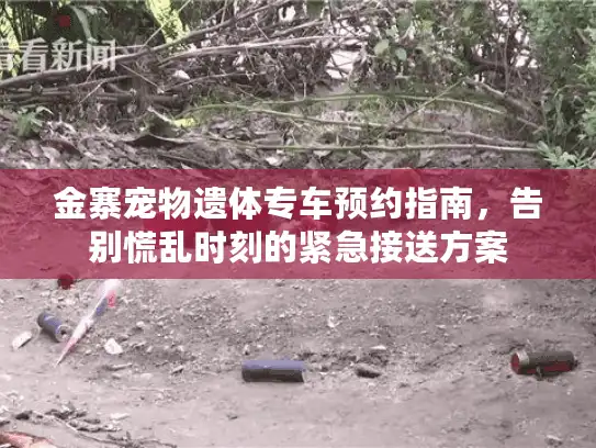 金寨宠物遗体专车预约指南，告别慌乱时刻的紧急接送方案