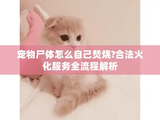 宠物尸体怎么自己焚烧?合法火化服务全流程解析