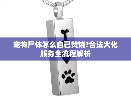 宠物尸体怎么自己焚烧?合法火化服务全流程解析