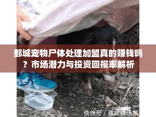 鄄城宠物尸体处理加盟真的赚钱吗？市场潜力与投资回报率解析