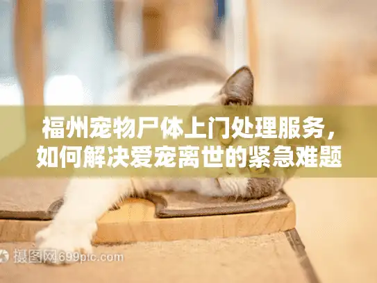 福州宠物尸体上门处理服务，如何解决爱宠离世的紧急难题？