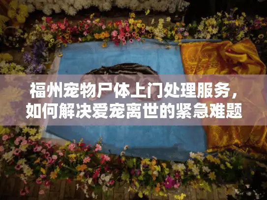 福州宠物尸体上门处理服务，如何解决爱宠离世的紧急难题？