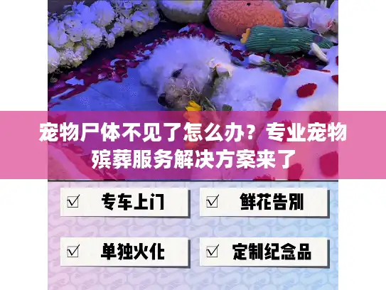宠物尸体不见了怎么办？专业宠物殡葬服务解决方案来了