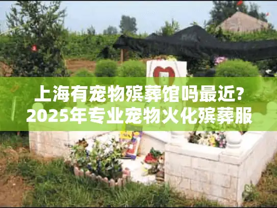 上海有宠物殡葬馆吗最近?2025年专业宠物火化殡葬服务指南