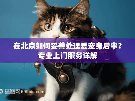 在北京如何妥善处理爱宠身后事？专业上门服务详解