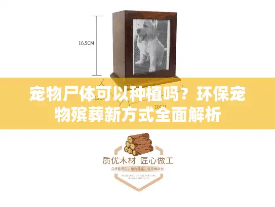 宠物尸体可以种植吗？环保宠物殡葬新方式全面解析