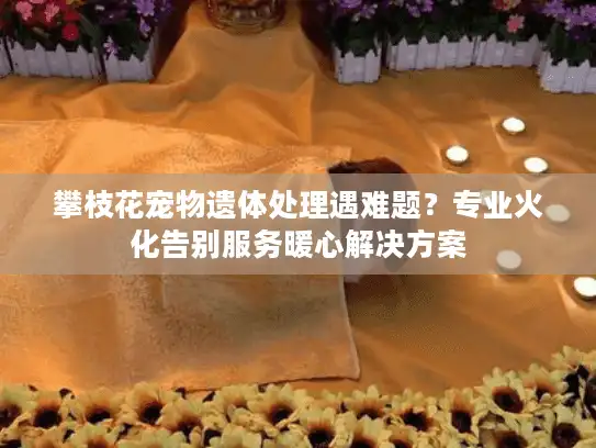 攀枝花宠物遗体处理遇难题？专业火化告别服务暖心解决方案