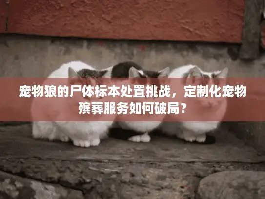 宠物狼的尸体标本处置挑战，定制化宠物殡葬服务如何破局？