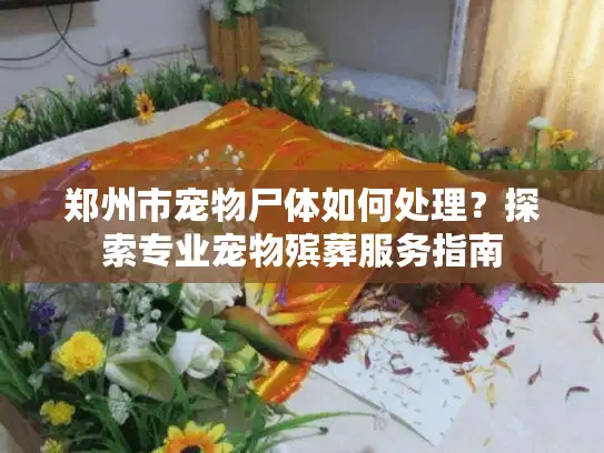 郑州市宠物尸体如何处理？探索专业宠物殡葬服务指南