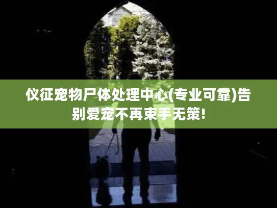 仪征宠物尸体处理中心(专业可靠)告别爱宠不再束手无策!