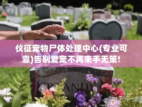 仪征宠物尸体处理中心(专业可靠)告别爱宠不再束手无策!