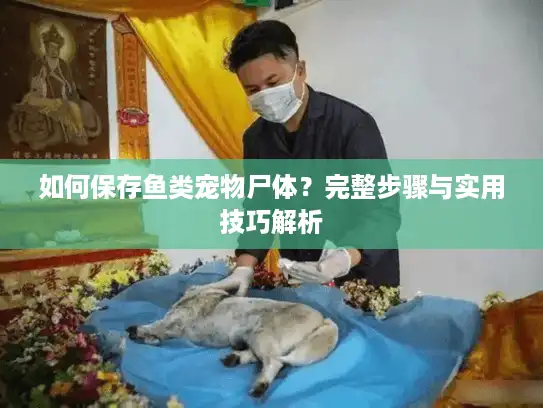 如何保存鱼类宠物尸体？完整步骤与实用技巧解析