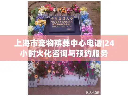 上海市宠物殡葬中心电话|24小时火化咨询与预约服务