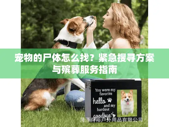 宠物的尸体怎么找？紧急搜寻方案与殡葬服务指南
