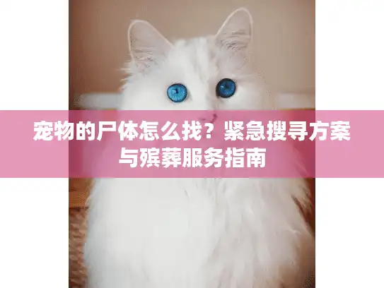 宠物的尸体怎么找？紧急搜寻方案与殡葬服务指南