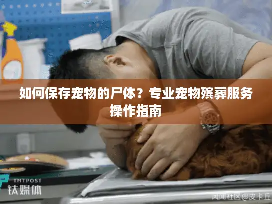 如何保存宠物的尸体？专业宠物殡葬服务操作指南