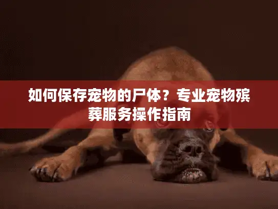 如何保存宠物的尸体？专业宠物殡葬服务操作指南