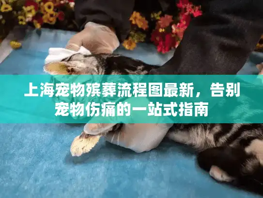 上海宠物殡葬流程图最新，告别宠物伤痛的一站式指南