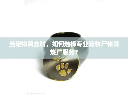 当宠物离去时，如何选择专业宠物尸体焚烧厂服务？