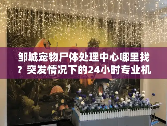 邹城宠物尸体处理中心哪里找？突发情况下的24小时专业机构