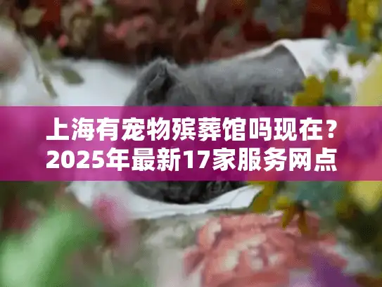 上海有宠物殡葬馆吗现在？2025年最新17家服务网点地址电话整理