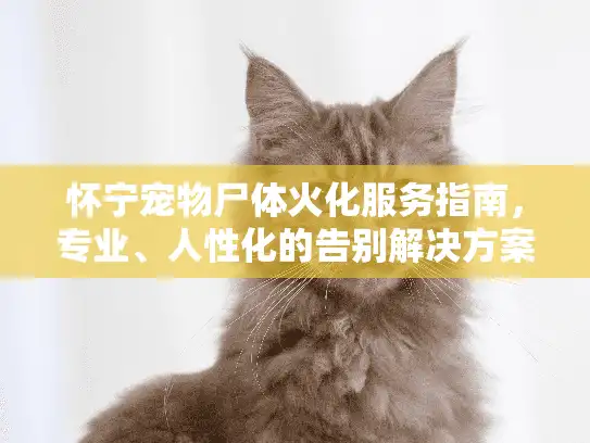 怀宁宠物尸体火化服务指南，专业、人性化的告别解决方案