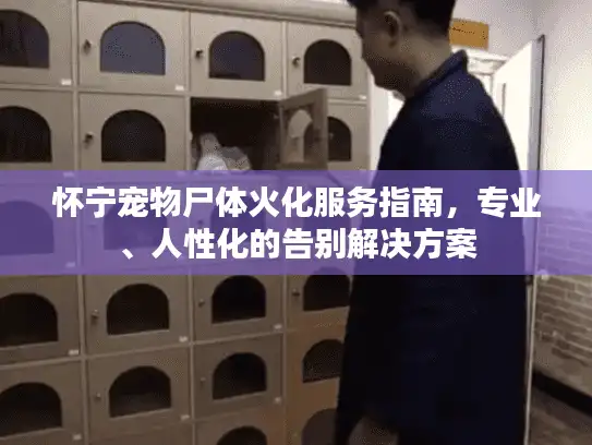 怀宁宠物尸体火化服务指南，专业、人性化的告别解决方案